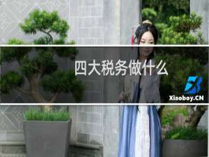 四大税务做什么