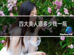 四大美人酒多少钱一瓶