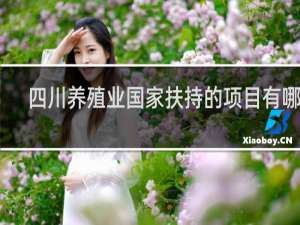 四川养殖业国家扶持的项目有哪些