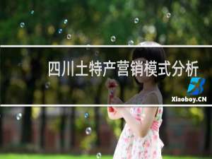 四川土特产营销模式分析