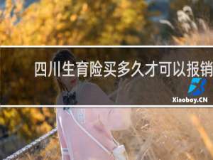 四川生育险买多久才可以报销