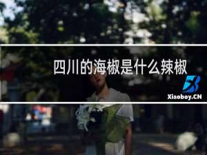 四川的海椒是什么辣椒