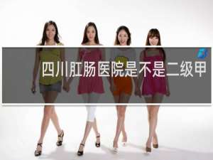 四川肛肠医院是不是二级甲