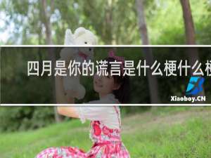 四月是你的谎言是什么梗什么梗