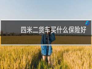 四米二货车买什么保险好