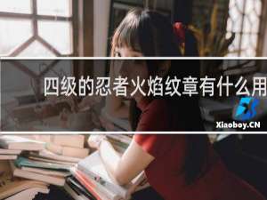 四级的忍者火焰纹章有什么用