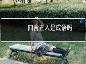 四舍五入是成语吗