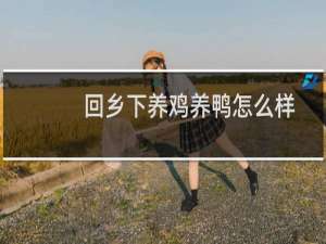 回乡下养鸡养鸭怎么样
