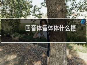 回音体音体体什么梗