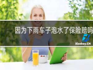 因为下雨车子泡水了保险赔吗