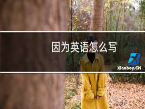 因为英语怎么写