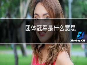 团体冠军是什么意思