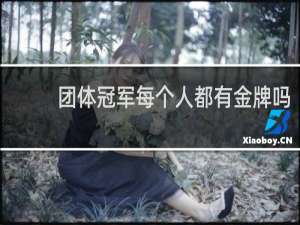 团体冠军每个人都有金牌吗