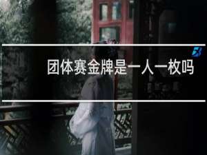 团体赛金牌是一人一枚吗