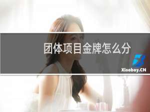 团体项目金牌怎么分