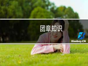 团章知识