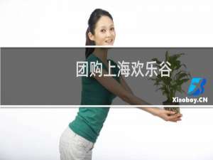 团购上海欢乐谷