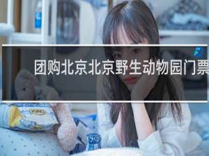 团购北京北京野生动物园门票