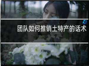团队如何推销土特产的话术