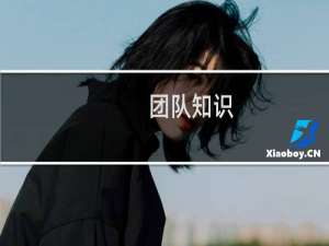 团队知识