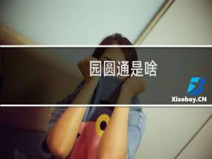园圆通是啥