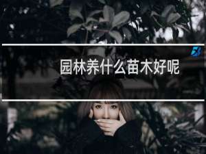 园林养什么苗木好呢