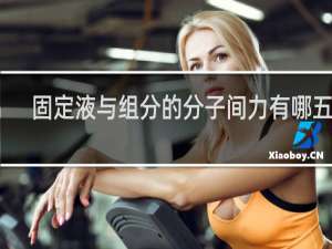 固定液与组分的分子间力有哪五种