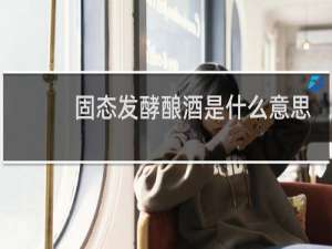 固态发酵酿酒是什么意思