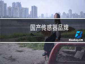 国产传感器品牌