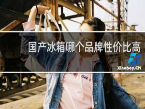 国产冰箱哪个品牌性价比高