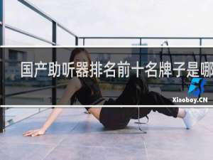 国产助听器排名前十名牌子是哪些