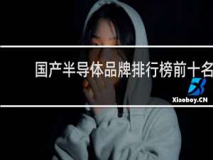 国产半导体品牌排行榜前十名
