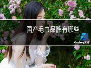 国产毛巾品牌有哪些