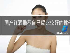 国产红酒推荐自己喝比较好的性价比