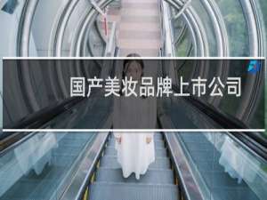 国产美妆品牌上市公司