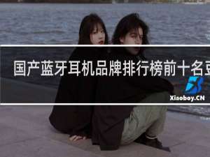 国产蓝牙耳机品牌排行榜前十名豆瓣