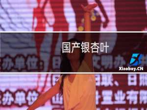 国产银杏叶