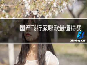 国产飞行家哪款最值得买