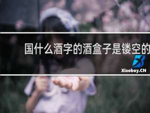 国什么酒字的酒盒子是镂空的
