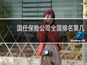 国任保险公司全国排名第几