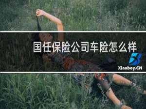 国任保险公司车险怎么样