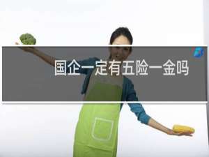 国企一定有五险一金吗