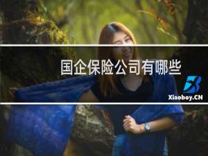 国企保险公司有哪些