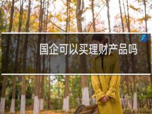 国企可以买理财产品吗