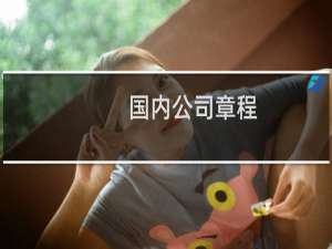 国内公司章程