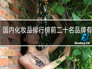 国内化妆品排行榜前二十名品牌有哪些