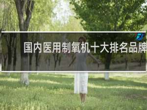 国内医用制氧机十大排名品牌