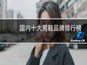 国内十大男鞋品牌排行榜