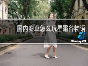 国内安卓怎么玩星露谷物语