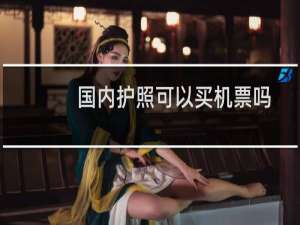 国内护照可以买机票吗